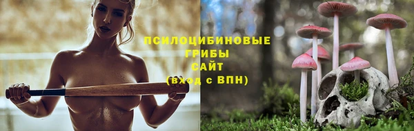 спиды Покров