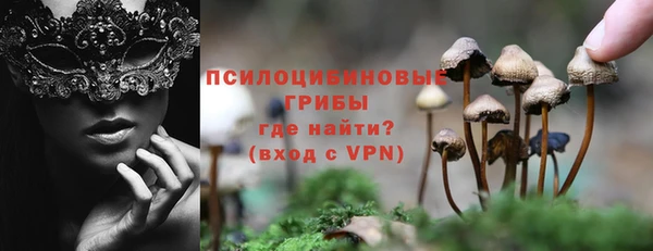 молекула духа Покровск