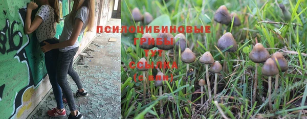 молекула духа Покровск