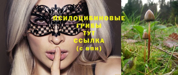 молекула духа Покровск