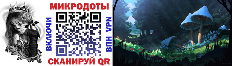 Галлюциногенные грибы Psilocybine cubensis  Купить  Заволжье 